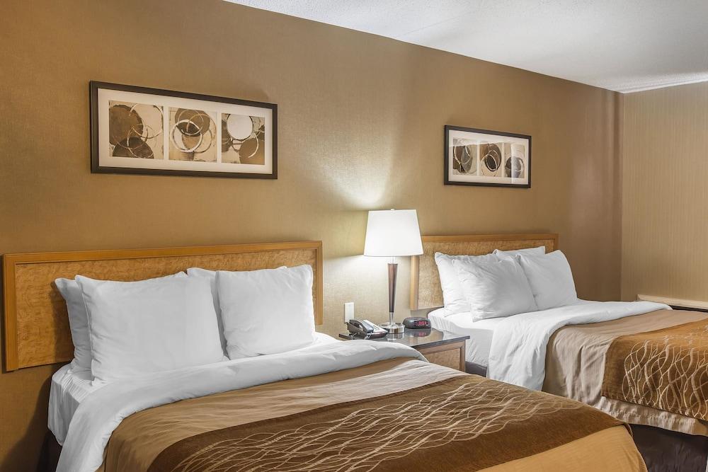 Comfort Inn Sydney Eksteriør bilde