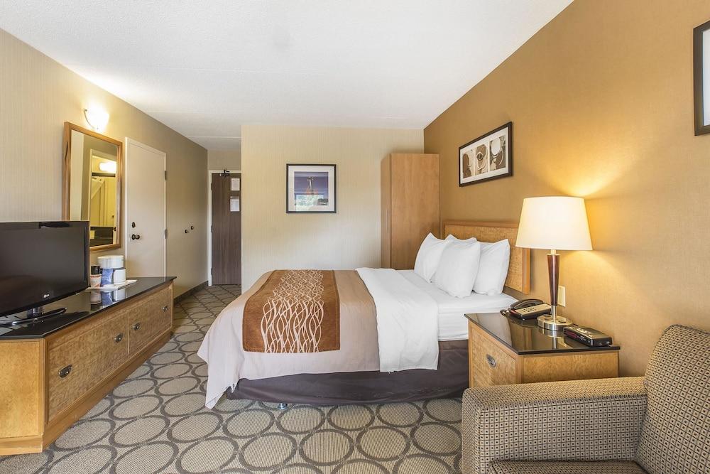 Comfort Inn Sydney Eksteriør bilde